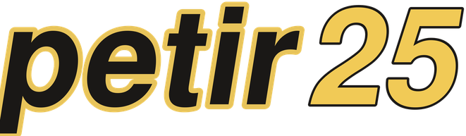 petir25 logo